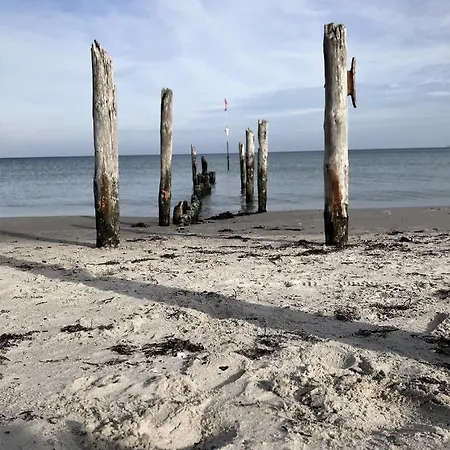 אתר קמפינג Tiny House